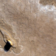 Illustration for article titled Scientists discover vast field of footprints from 8-million-year-old elephant herd